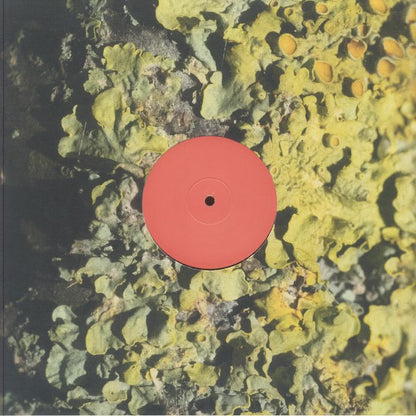 Sa Pa – The Fool (LP, Short Span, 2025) Front Cover