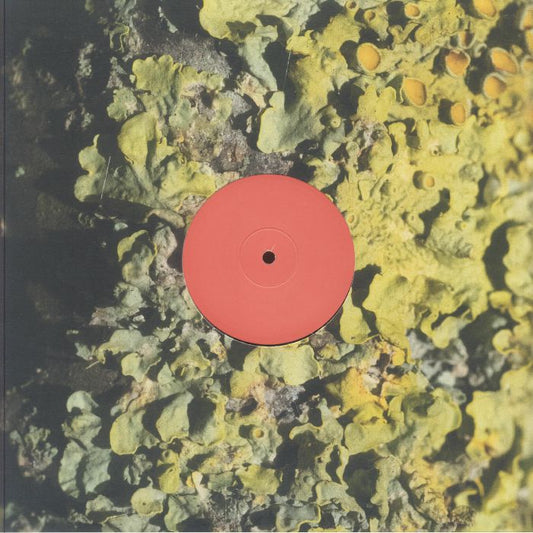 Sa Pa – The Fool (LP, Short Span, 2025) Front Cover