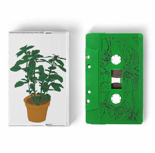 Salamanda – Music To Watch Seeds Grow By 008: Salamanda (Basil) (Cassette, Music To Watch Seeds Grow By, 2026) Front Cover