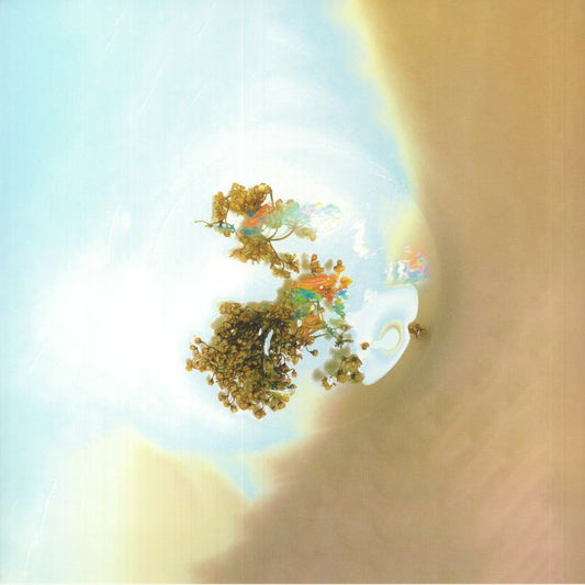 Sam Goku – Things We See When We Look Closer  (LP, Permanent Vacation, 2023) Front Cover