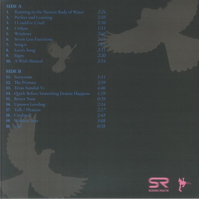 Samba Jean-Baptiste – Cardinal (LP, Scenic Rhythms, 2025) Back Cover
