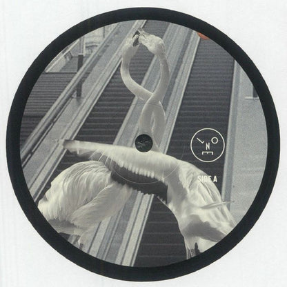 Sasha Henry Saiz – Love Is All You Need (12", Last Night On Earth, 2025) Front Cover