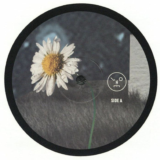 Sasha – Hollow Sun (12", Last Night On Earth, 2026) Front Cover