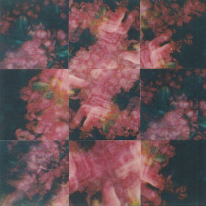 Say She She – Prism (LP, Karma Chief Records, 2022) Front Cover