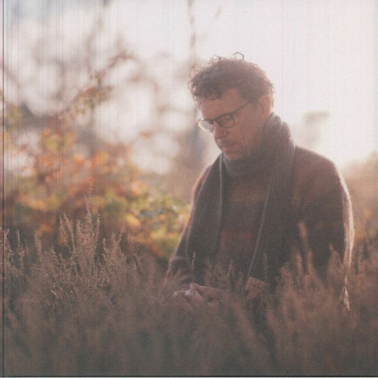 Scrimshire – Bring our Light To Every Corner (LP, Albert's Favourites, 2026) Front Cover
