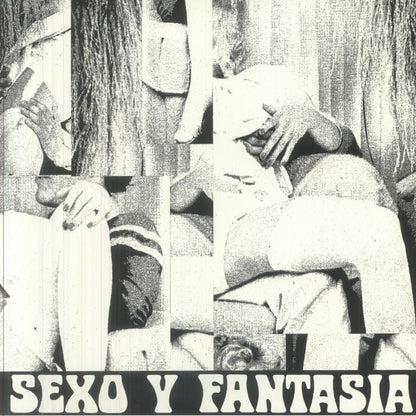 Sexo Y Fantasia – Trabajando El Flex (LP, Pinkman, 2025) Front Cover