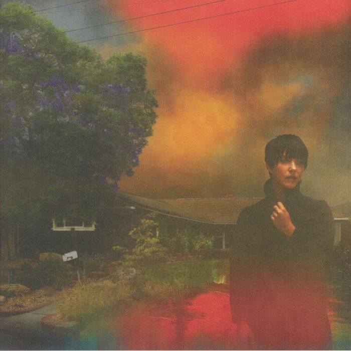 Sharon Van Etten – We've Been Going About This All Wrong (LP, Jagjaguwar, 2022) Front Cover