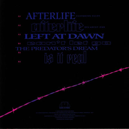 Shcuro – Particle of Memory (12", Dark Entries, 2020) Back Cover