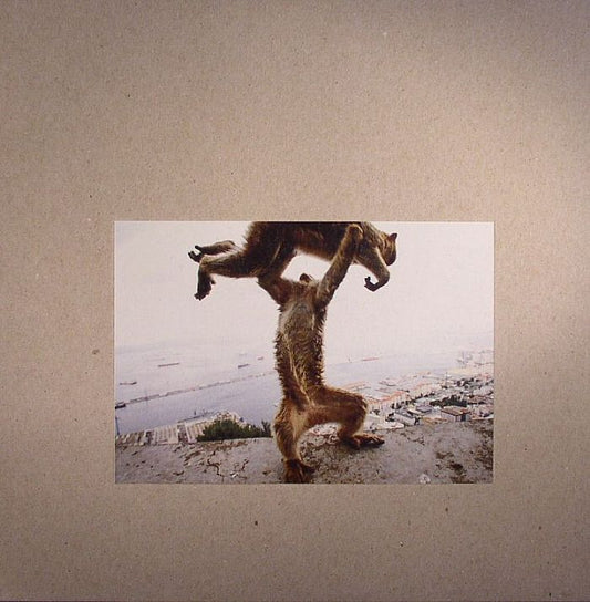 Shellac – Dude Incredible (LP+CD, 180 Gram, Touch And Go, 2014) Front Cover