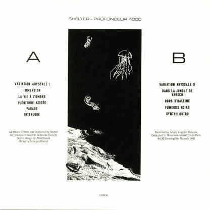 Shelter – Profondeur 4000 (LP, Growing Bin Records, 2018) Back Cover