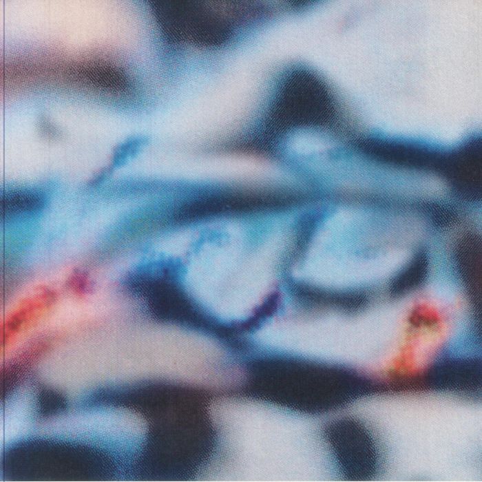 Shoal – Temporal Blend  (12", Animalia, 2025) Front Cover