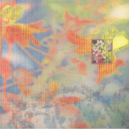Simo Cell Abdullah Miniawy – Dying Is The Internet (LP, Dekmantel, 2026) Front Cover