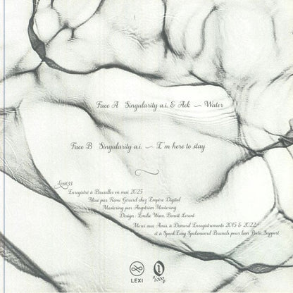 Singularity Ai / Aek – Showtime (7", Lexi Disques, 2025) Back Cover