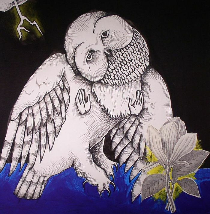 Songs: Ohia – The Magnolia Electric Co  (2xLP, Secretly Canadian, 2013) Front Cover