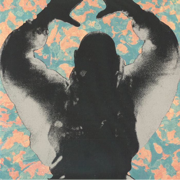 Startled Insects – The Antenna Years (LP, We Release Whatever The Fuck We Want Records, 2026) Front Cover