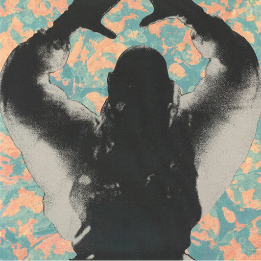 Startled Insects – The Antenna Years (LP, We Release Whatever The Fuck We Want Records, 2026) Front Cover