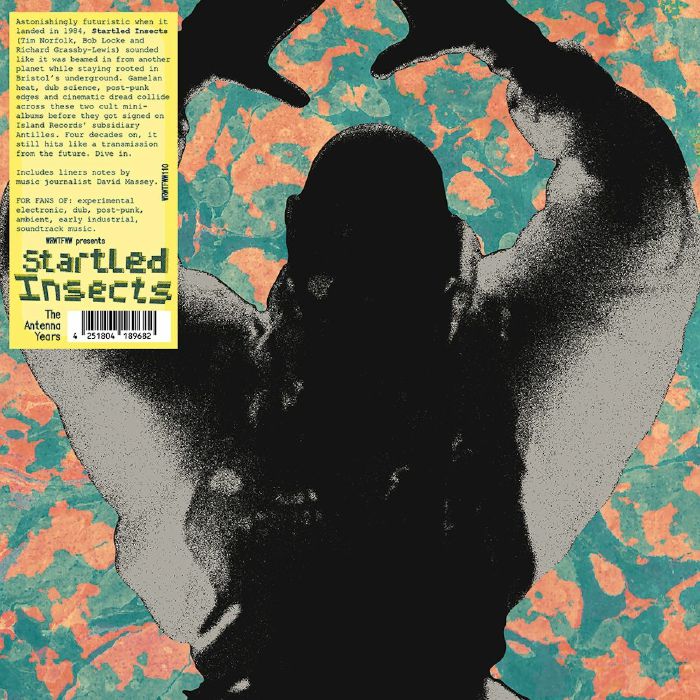 Startled Insects – The Antenna Years (LP, limited, WRWTFWW, 2026) Back Cover