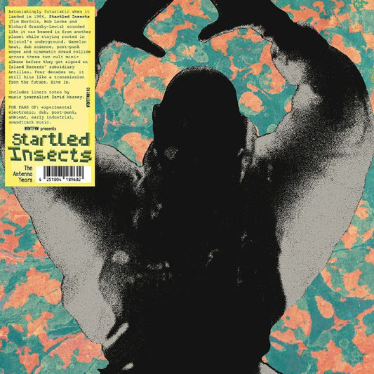 Startled Insects – The Antenna Years (LP, limited, WRWTFWW, 2026) Front Cover