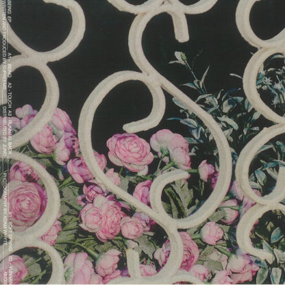 Supreems – Being EP (12", air miles, 2023) Front Cover