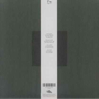 Susumu Yokota – Grinning Cat (2xLP, White, Skintone Edition, Lo Recordings, 2025) Back Cover