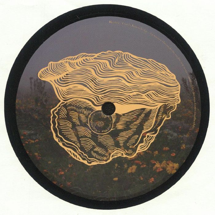 SW. – myDEFINITION part II (2xLP, Kalahari Oyster Cult, 2024) Back Cover