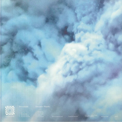 Sweetzak – Intuitive Fields (2xLP, Femacosmé, 2025) Back Cover