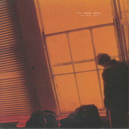 The American Analog Set – Destroy Destroy Destroy (Box Set+LP+LP+LP+12"+2xLP, Maroon, Numero Group, 2026) Back Cover