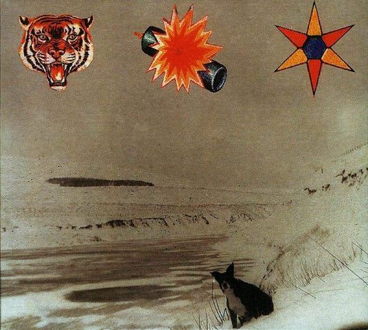 The Beta Band – The Three E.P.'s (CD, Because Music, 2018) Front Cover