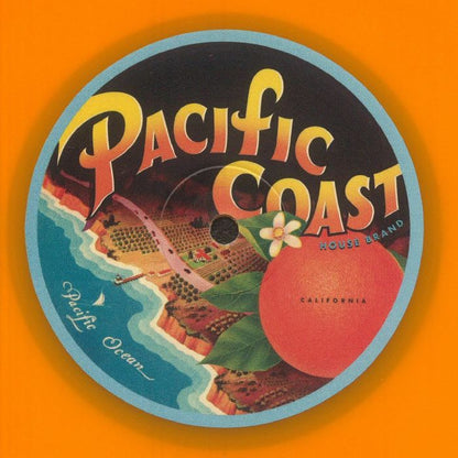 The Coastal Commission Jesse Outlaw – Bring Down The Walls (12", Orange, Pacific Coast House Recordings, 2026) Back Cover