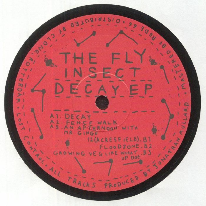The Fly Insect – Decay EP (12", Lost Control 2097, 2023) Back Cover