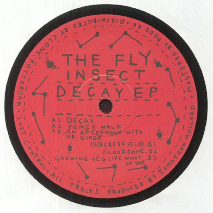 The Fly Insect – Decay EP (12", Lost Control 2097, 2023) Back Cover