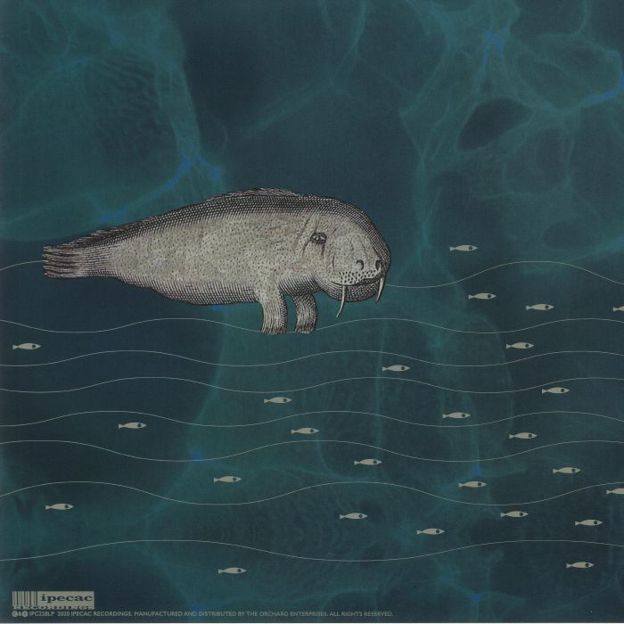The Melvins – (A) Senile Animal (reissue) (2xLP, Sea Blue, Ipecac, 2021) Back Cover