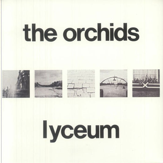 The Orchids – Lyceum (LP+LP, Circuitry, 2025) front cover