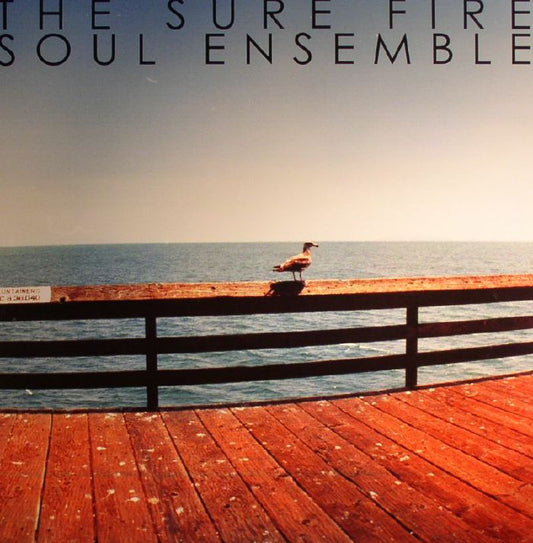 The Sure Fire Soul Ensemble – The Sure Fire Soul Ensemble (LP, 180 gram, Colemine Records, 2015) Front Cover