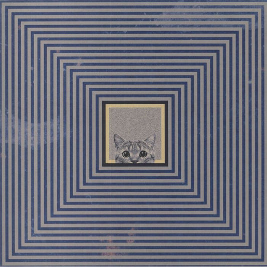 Theodor – Theodor (LP, Broc Recordz, 2023) Front Cover