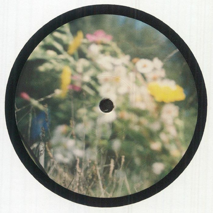 Transcendental Amor Organization – TAO (12", Modern Obscure Music, 2026) Back Cover