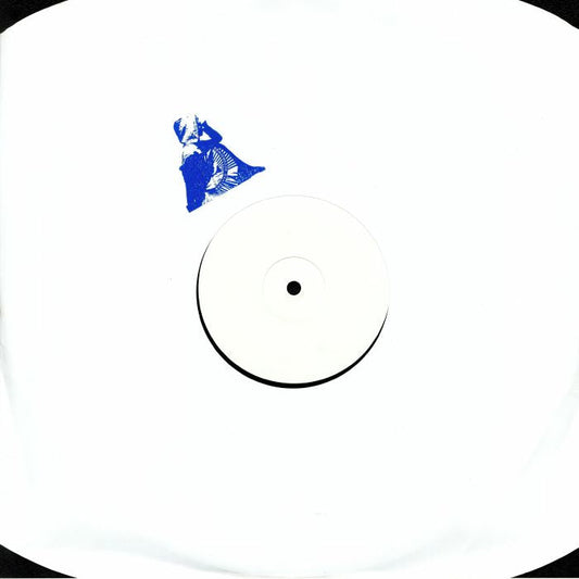Unknown Artist – Shelved Recordings 2.2 (12", Shelved Recordings, 2025) front cover