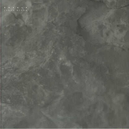 Vakula – Cloud Bloom (12", Seven Villas, 2025) image 01