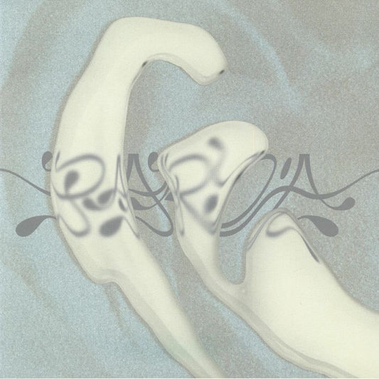 Various – 5 Years Paryìa (2x12", Paryìa, 2026) Front Cover