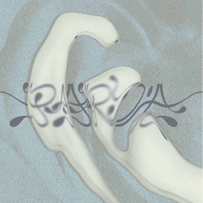 Various – 5 Years Paryia (2xLP, Paryia, 2026) Front Cover