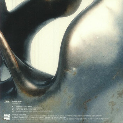 Various – Coalescence (12", The Third Room, 2026) Back Cover