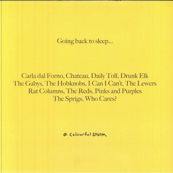Various – Going Back To Sleep... (LP, A Colourful Storm, 2025) Back Cover