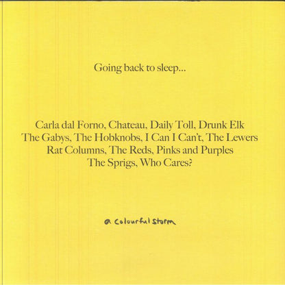 Various – Going Back To Sleep... (LP, A Colourful Storm, 2025) Back Cover