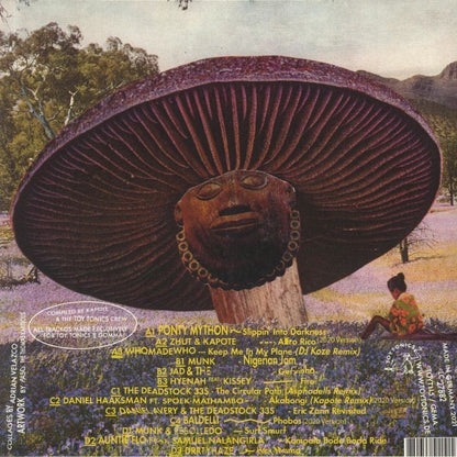 Various – Kapote Pres Mushroom House Vol 1 (2x12", Toy Tonics, 2020) Back Cover