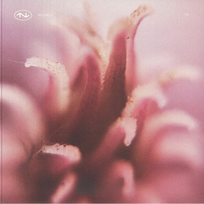 Various – NECH032 (12", NECHTO, 2025) Front Cover