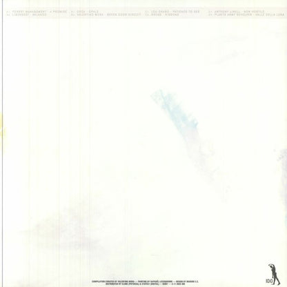 Various – Transcendental Movements Vol. 2 (2xLP, IDO, 2025) back cover