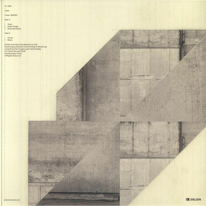 VC-118A – Avian (12", Delsin, 2025) Back Cover