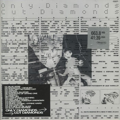 Vegyn – Only Diamonds Cut Diamonds (2xLP, PLZ Make It Ruins, 2020) Back Cover