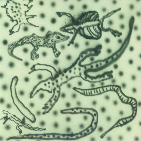 VESU'S aka Vesa Matti – List Of Lizards IV (LP, Managua, 2026) Front Cover