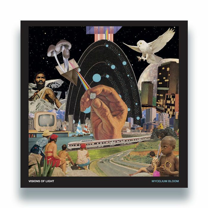 Visions Of Light – Mycelium Bloom (LP, Nunorthern Soul, 2026) Front Cover